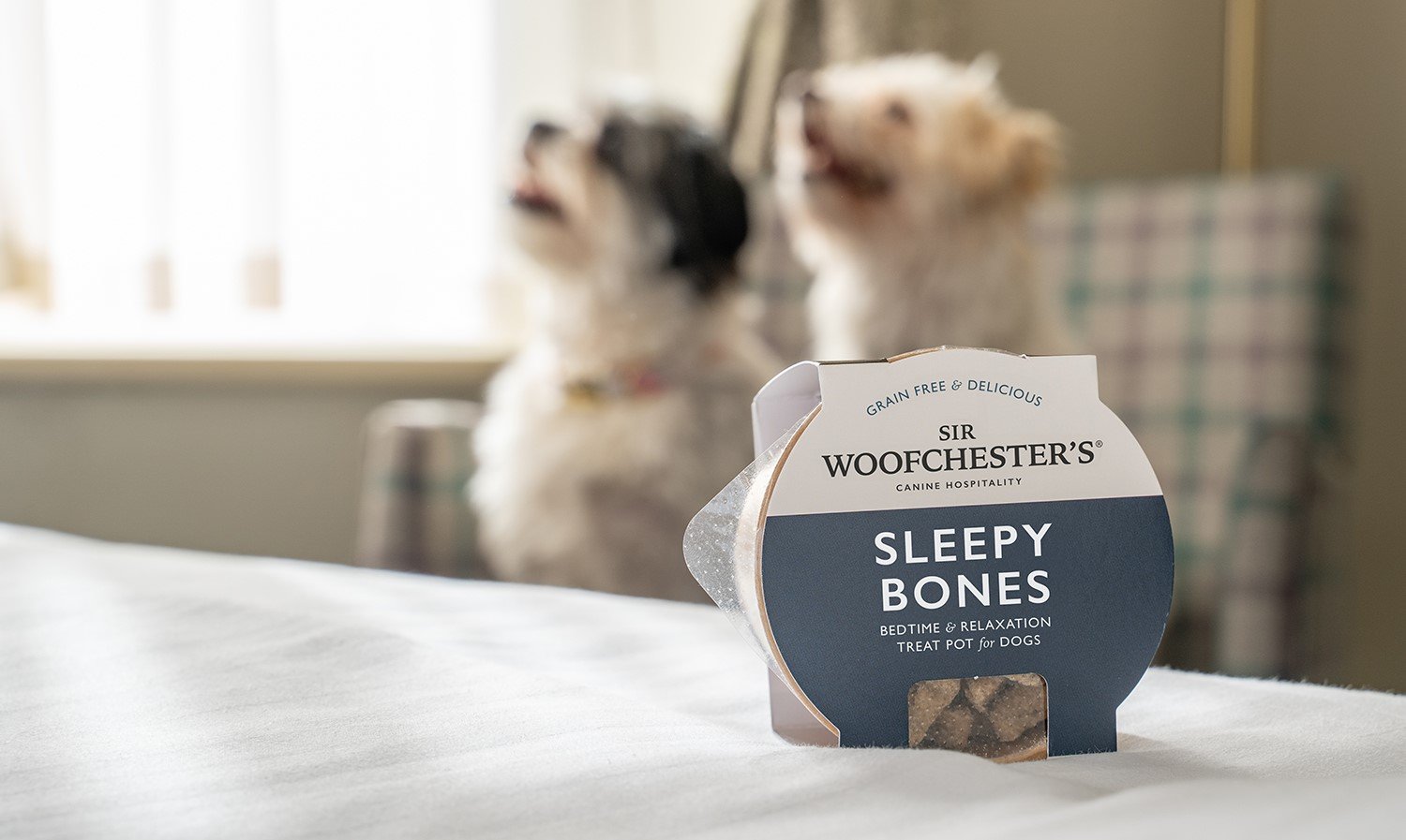 Luxury Dog Treat Menus / Hotel Dog Treats / Dog Welcome Packs